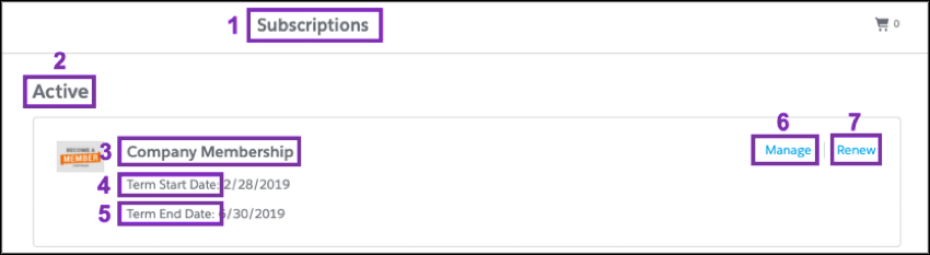 Profile Visual Translation Guide